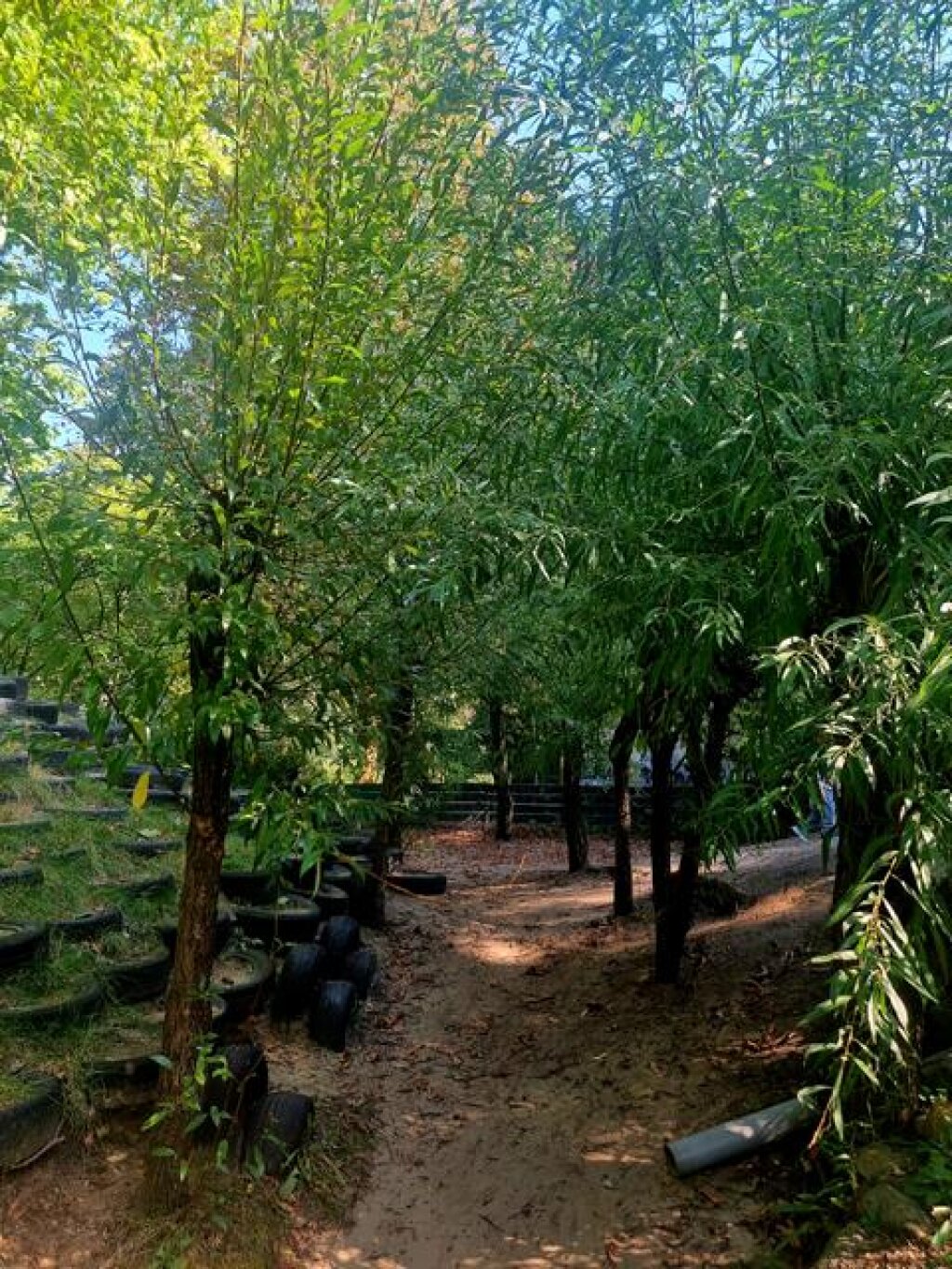 Außengelände mit Klettermöglichkeit in der KIta Hasselbrookstraße der AWO Hamburg.