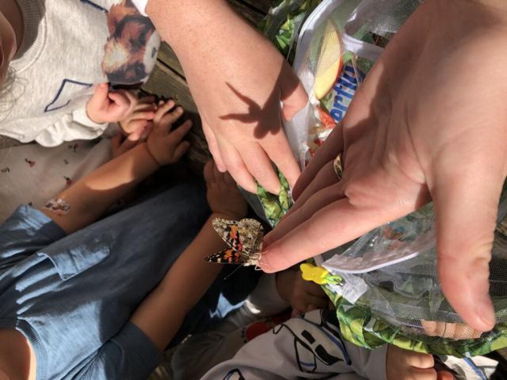 Kinderhände mit Schmetterling in der Kita Huulkamp in Hamburg.