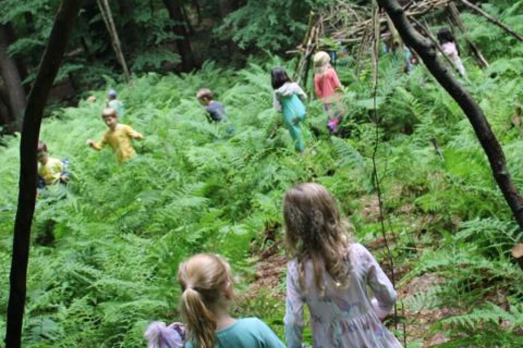 AWO Hamburg Kita Harburg Kinder entdecken den Wald.
