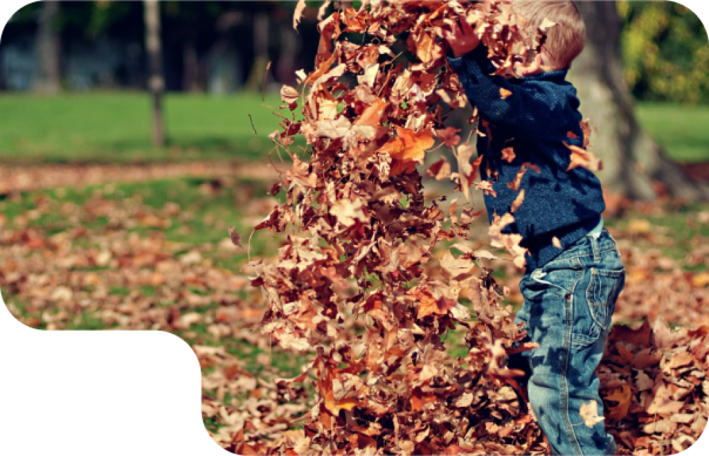 Kind wirft Laub.